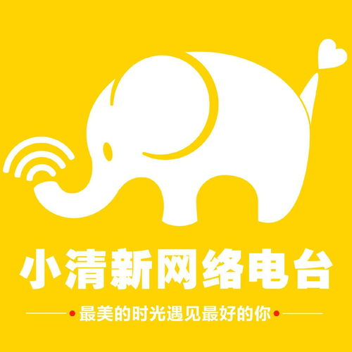 小清新网络电台